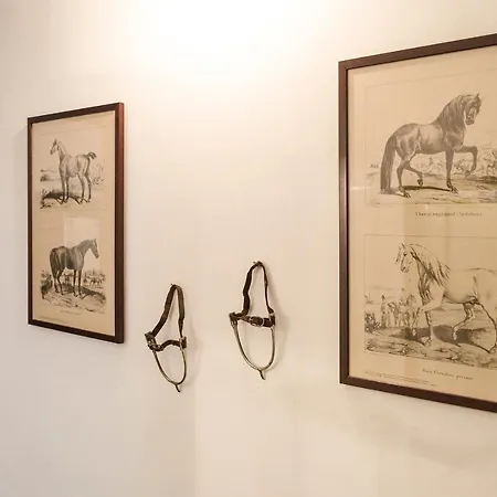 Daire Horses House Bologna, Comodo A Universita *